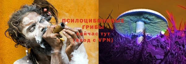 гашишное масло Богородск