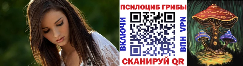 Галлюциногенные грибы прущие грибы  Полесск 